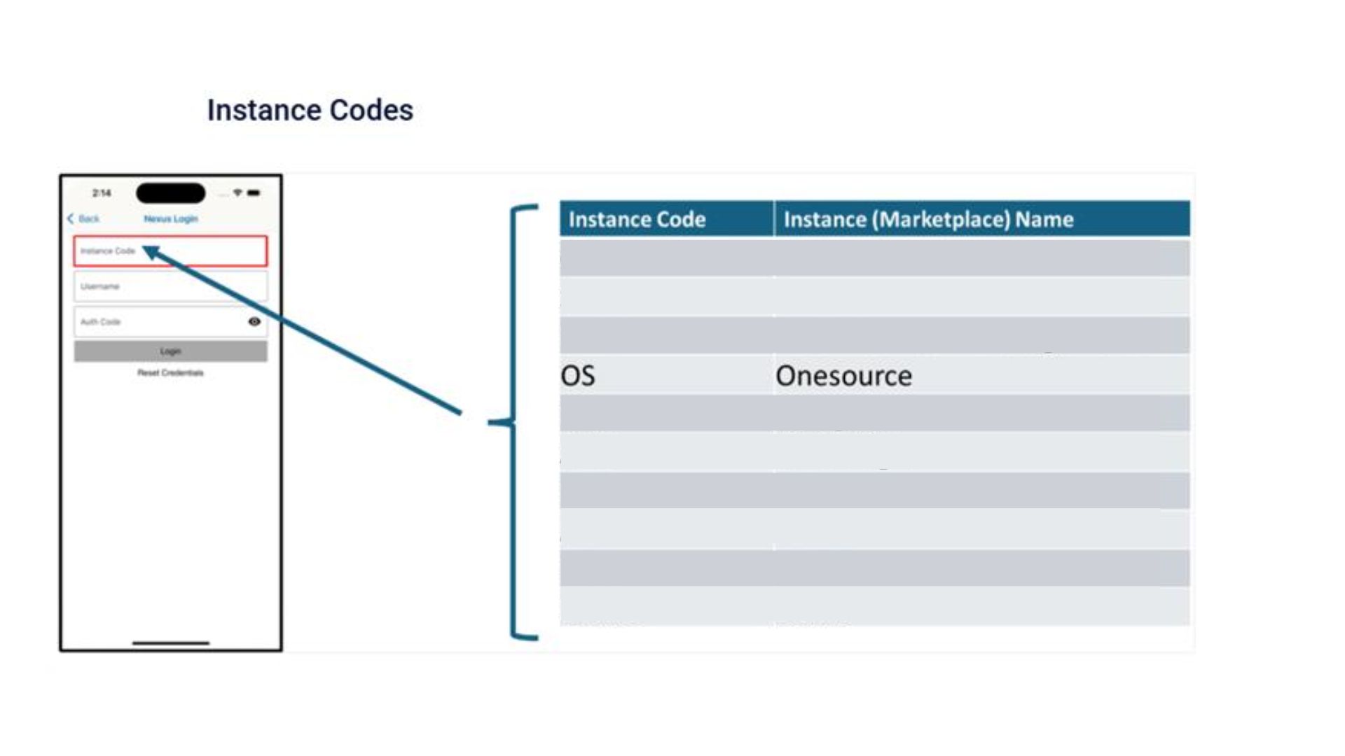 Untitled design-20250708-201721.jpg